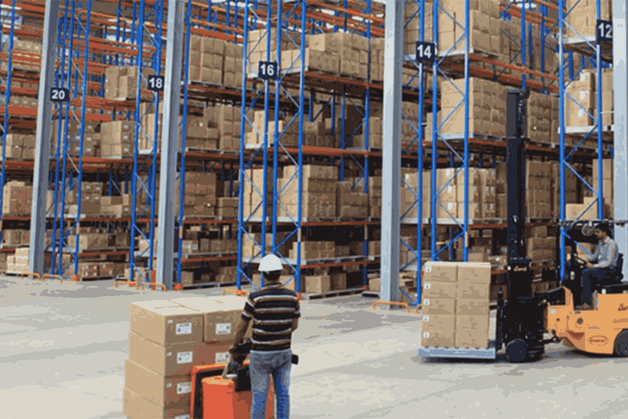 Top Rated Hosiery Packaging Suppliers in Faisalabad