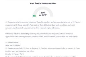 The Advantages of Using SS Flanges in Pipe Connections